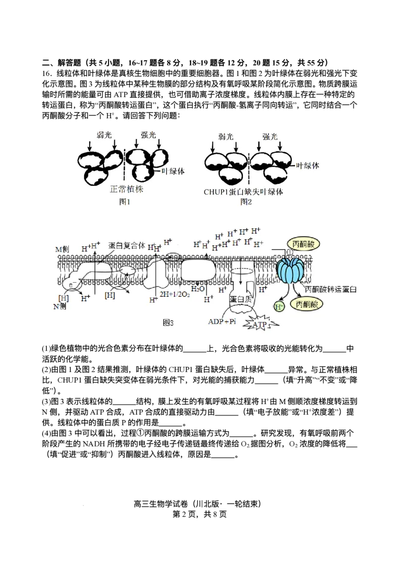 2026届四川省字节精准教育联盟高三上学期1月一模生物试题(1)_2026年1月_260112四川省字节精准教育联盟2026届高三上学期1月第二阶段学情调研测试（全科）