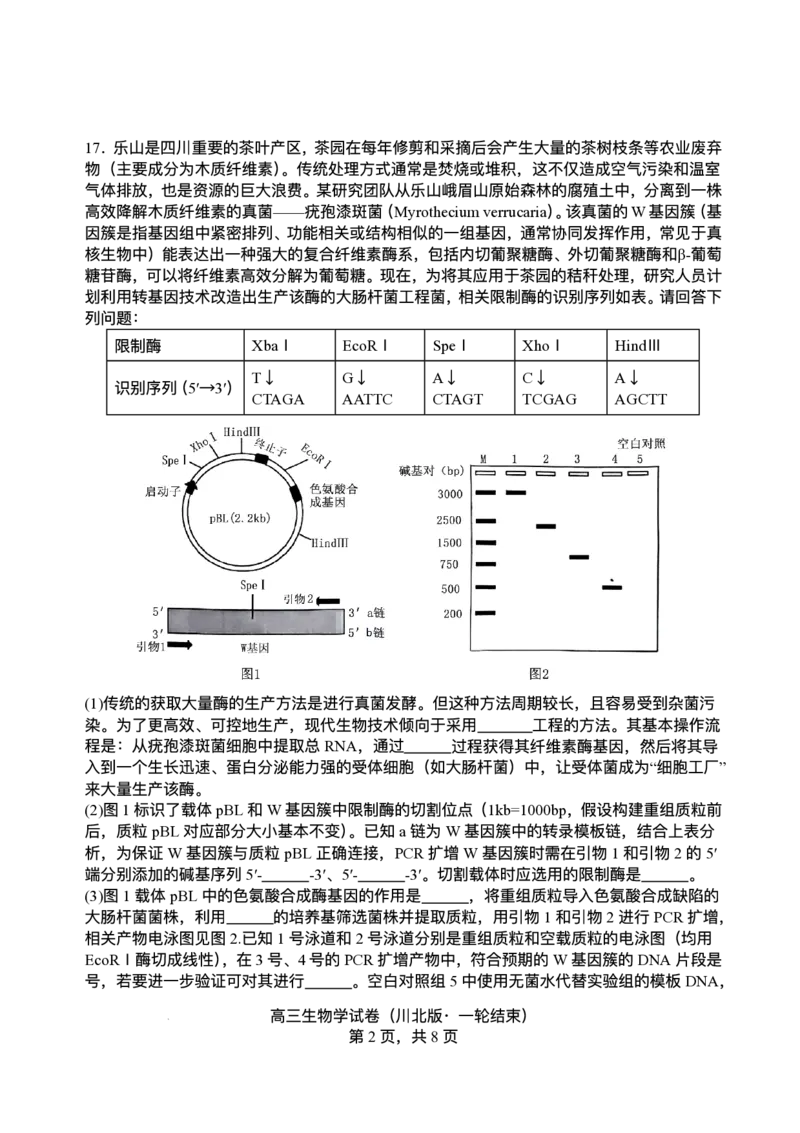 2026届四川省字节精准教育联盟高三上学期1月一模生物试题(1)_2026年1月_260112四川省字节精准教育联盟2026届高三上学期1月第二阶段学情调研测试（全科）