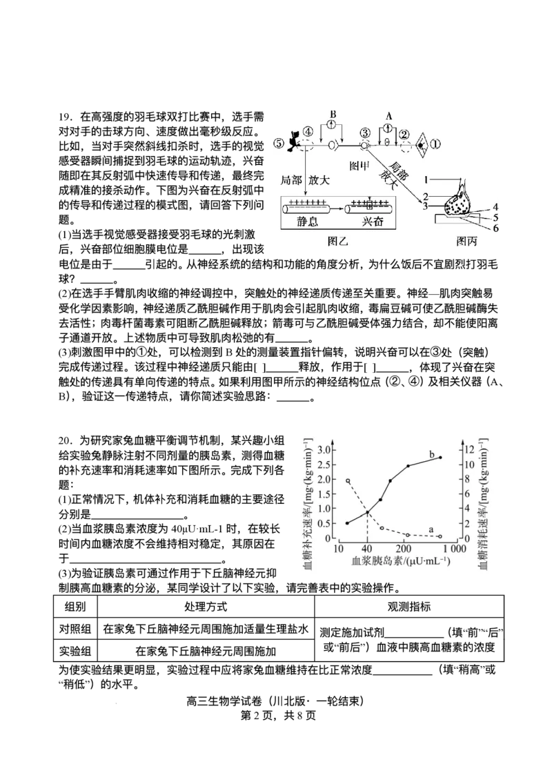 2026届四川省字节精准教育联盟高三上学期1月一模生物试题(1)_2026年1月_260112四川省字节精准教育联盟2026届高三上学期1月第二阶段学情调研测试（全科）