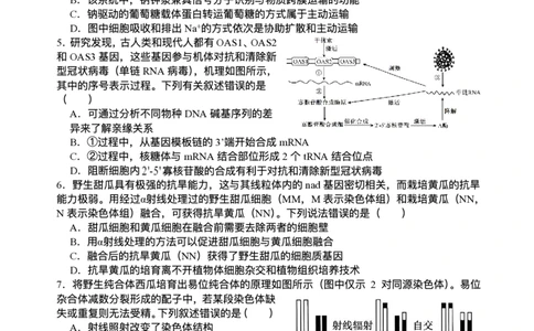 2026届四川省字节精准教育联盟高三上学期1月一模生物试题(1)_2026年1月_260112四川省字节精准教育联盟2026届高三上学期1月第二阶段学情调研测试（全科）