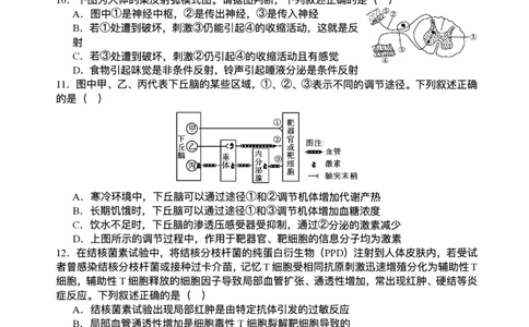 2026届四川省字节精准教育联盟高三上学期1月一模生物试题(1)_2026年1月_260112四川省字节精准教育联盟2026届高三上学期1月第二阶段学情调研测试（全科）