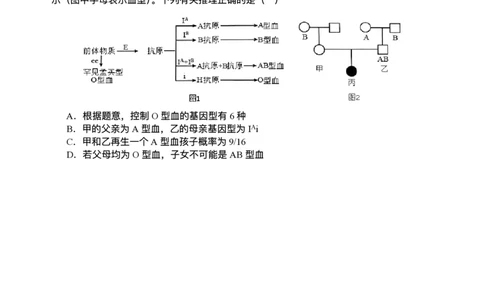 2026届四川省字节精准教育联盟高三上学期1月一模生物试题(1)_2026年1月_260112四川省字节精准教育联盟2026届高三上学期1月第二阶段学情调研测试（全科）