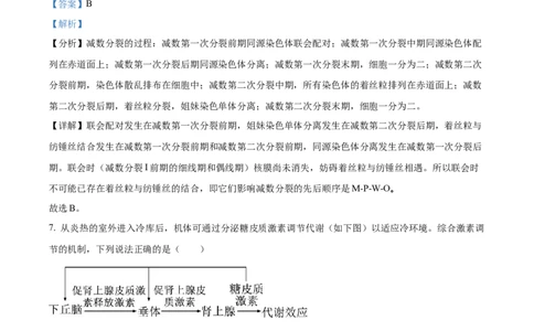 精品解析：2024年江西高考真题生物试卷（解析版）_高考真题全网收集_生物学_2024年新高考江西卷生物高考真题解析（参考版）