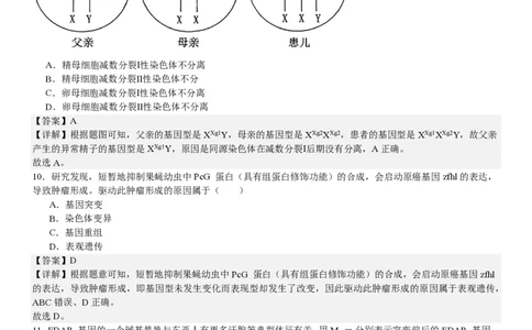 广东生物-答案-p_近10年高考真题汇编（必刷）_2024年高考真题_高考真题（截止6.29）_其他地方卷（目前搜集不完整）_广东卷（物、生、地）