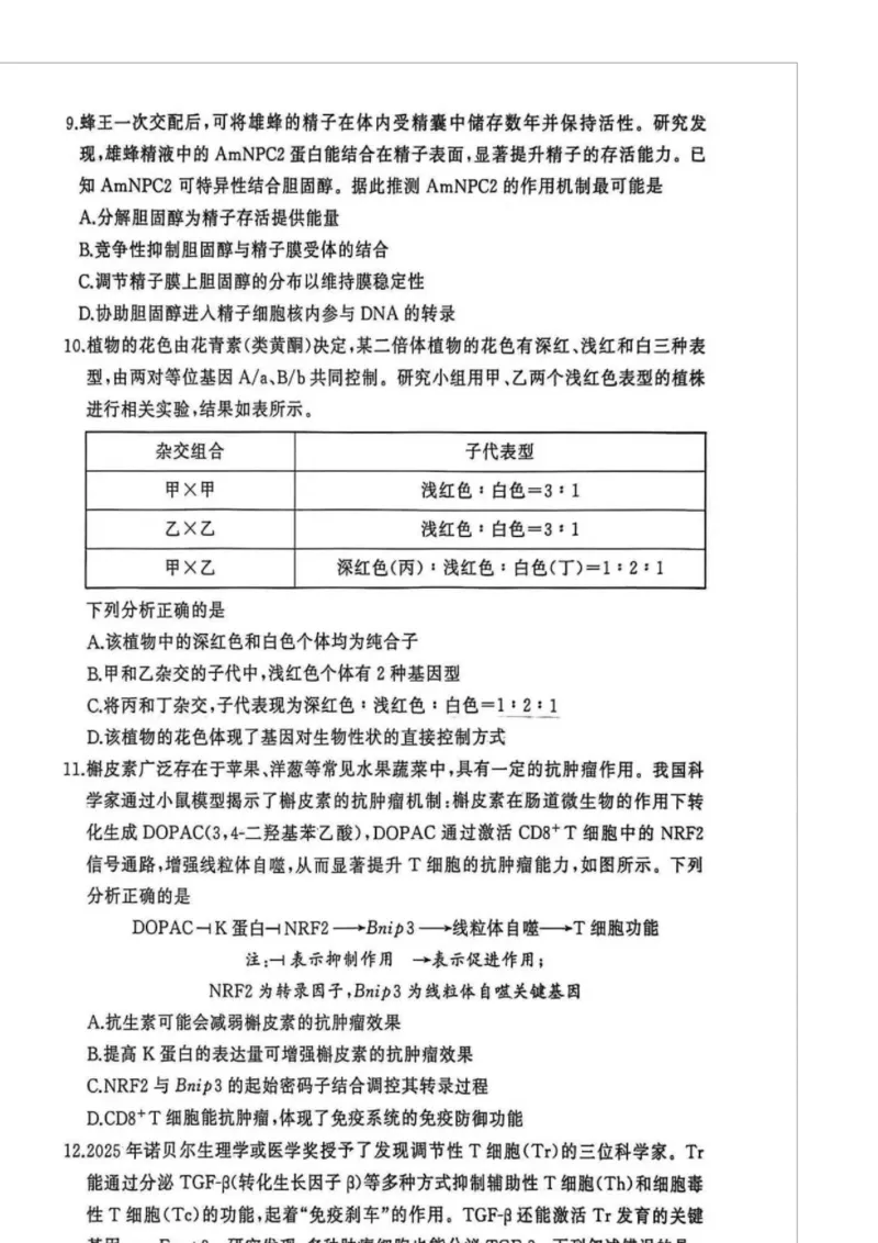 湖北省黄冈市2025-2026学年高三上学期1月期末生物试题(1)_2026年1月_260108湖北省黄冈市2025-2026学年高三上学期1月期末（全科）
