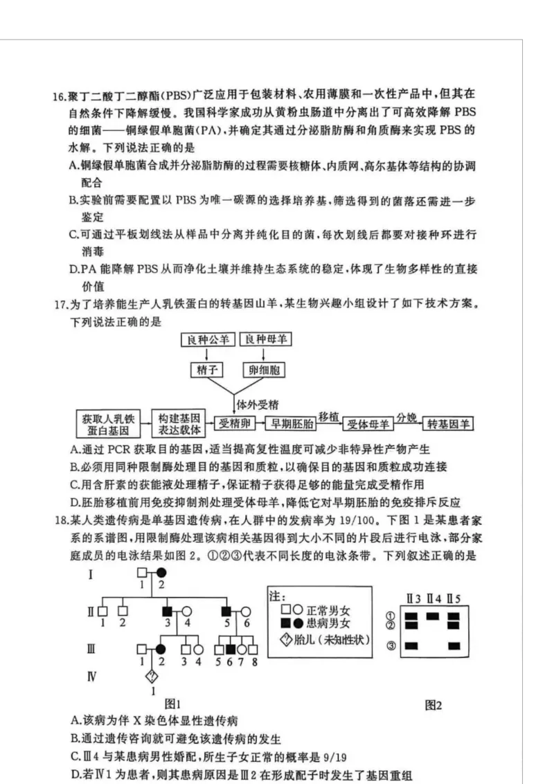 湖北省黄冈市2025-2026学年高三上学期1月期末生物试题(1)_2026年1月_260108湖北省黄冈市2025-2026学年高三上学期1月期末（全科）