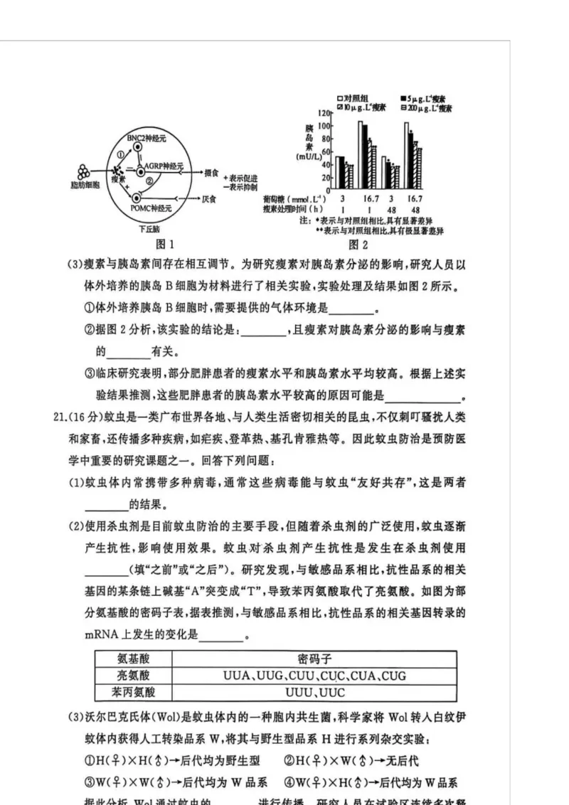 湖北省黄冈市2025-2026学年高三上学期1月期末生物试题(1)_2026年1月_260108湖北省黄冈市2025-2026学年高三上学期1月期末（全科）