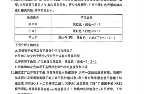 湖北省黄冈市2025-2026学年高三上学期1月期末生物试题(1)_2026年1月_260108湖北省黄冈市2025-2026学年高三上学期1月期末（全科）