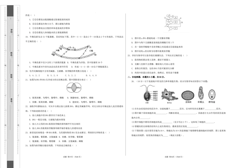 高一生物第一次月考卷（考试版A3）测试范围：第1-2章（人教版2019）_1多考区联考试卷_0924黄金卷：2024-2025学年高一上学期第一次月考9科word解析版含答题卡（天津专用）