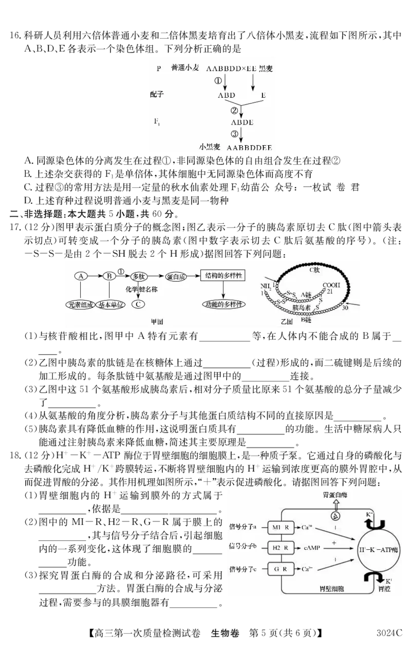 3024C生物_2023年7月_01每日更新_26号_2023届广东纵千文化高三9月联考_试卷