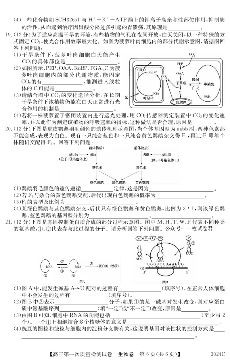 3024C生物_2023年7月_01每日更新_26号_2023届广东纵千文化高三9月联考_试卷