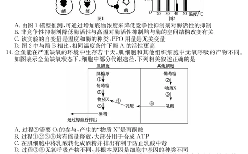 3024C生物_2023年7月_01每日更新_26号_2023届广东纵千文化高三9月联考_试卷