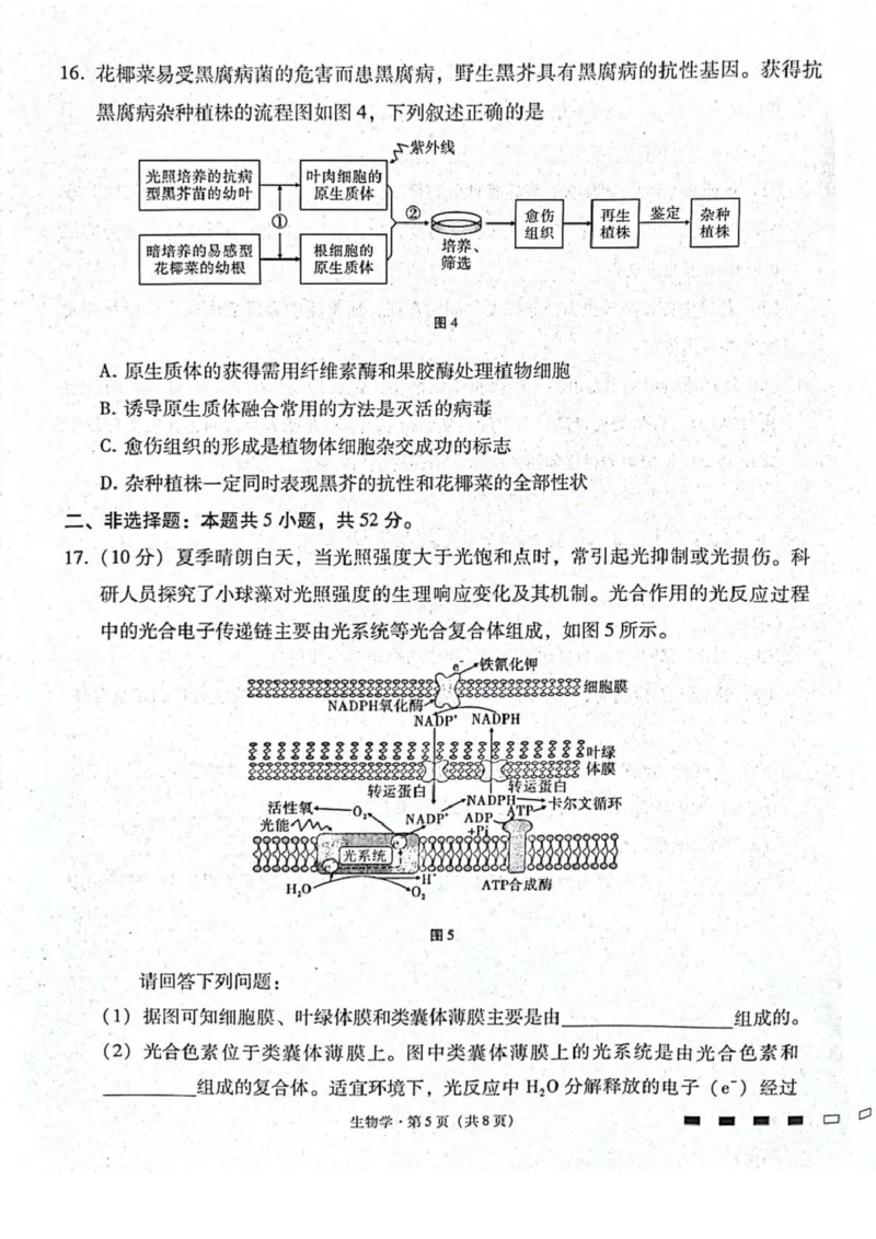 贵阳第一中学2026届高考适应性月考卷（二）生物_2025年10月_12026年试卷教辅资源等多个文件_251025贵州省贵阳第一中学2026届高考适应性月考卷（二）（全科）