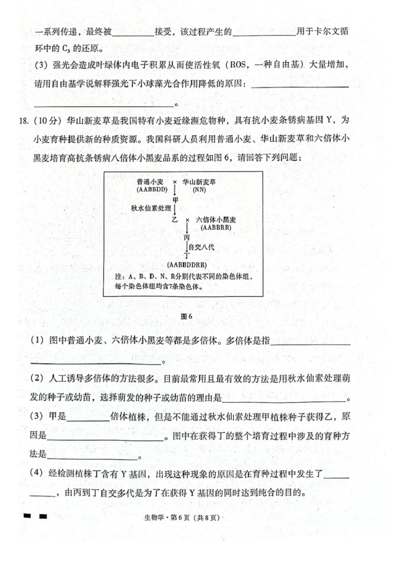 贵阳第一中学2026届高考适应性月考卷（二）生物_2025年10月_12026年试卷教辅资源等多个文件_251025贵州省贵阳第一中学2026届高考适应性月考卷（二）（全科）