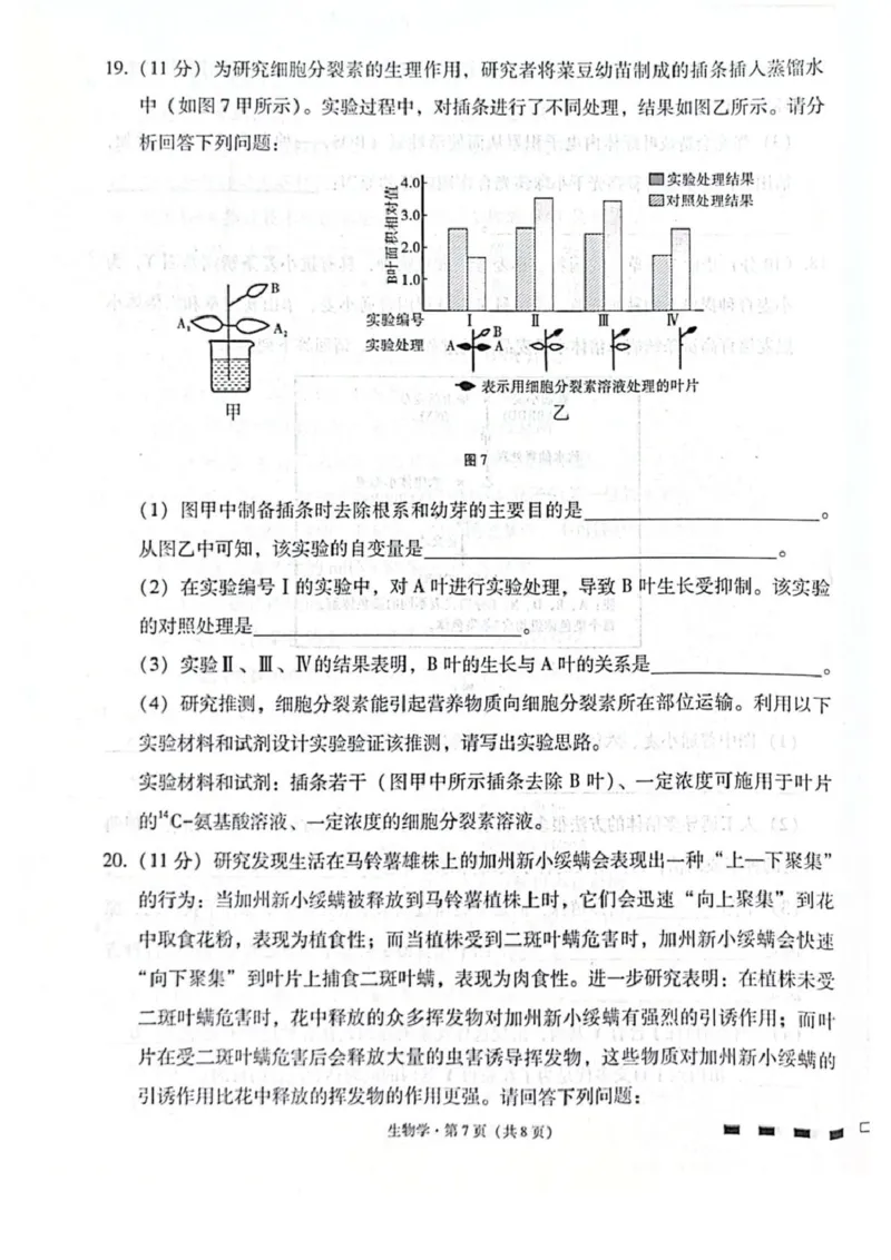 贵阳第一中学2026届高考适应性月考卷（二）生物_2025年10月_12026年试卷教辅资源等多个文件_251025贵州省贵阳第一中学2026届高考适应性月考卷（二）（全科）