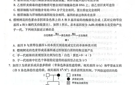 贵阳第一中学2026届高考适应性月考卷（二）生物_2025年10月_12026年试卷教辅资源等多个文件_251025贵州省贵阳第一中学2026届高考适应性月考卷（二）（全科）
