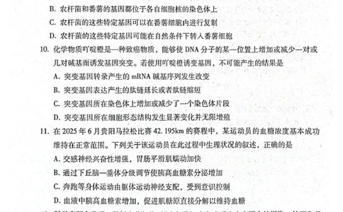 贵阳第一中学2026届高考适应性月考卷（二）生物_2025年10月_12026年试卷教辅资源等多个文件_251025贵州省贵阳第一中学2026届高考适应性月考卷（二）（全科）