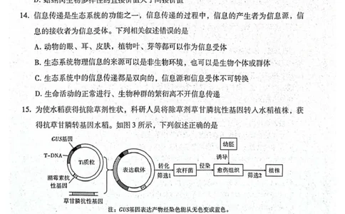 贵阳第一中学2026届高考适应性月考卷（二）生物_2025年10月_12026年试卷教辅资源等多个文件_251025贵州省贵阳第一中学2026届高考适应性月考卷（二）（全科）