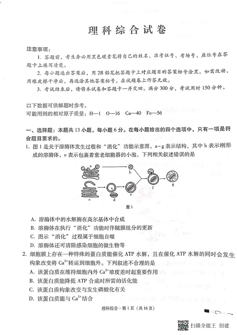 云南省昆明市云南师大附中2024届高三第十次月考理科综合试卷_2024年6月(1)_01按日期_01号_2024届云南师大附中高三适应性考试（十）