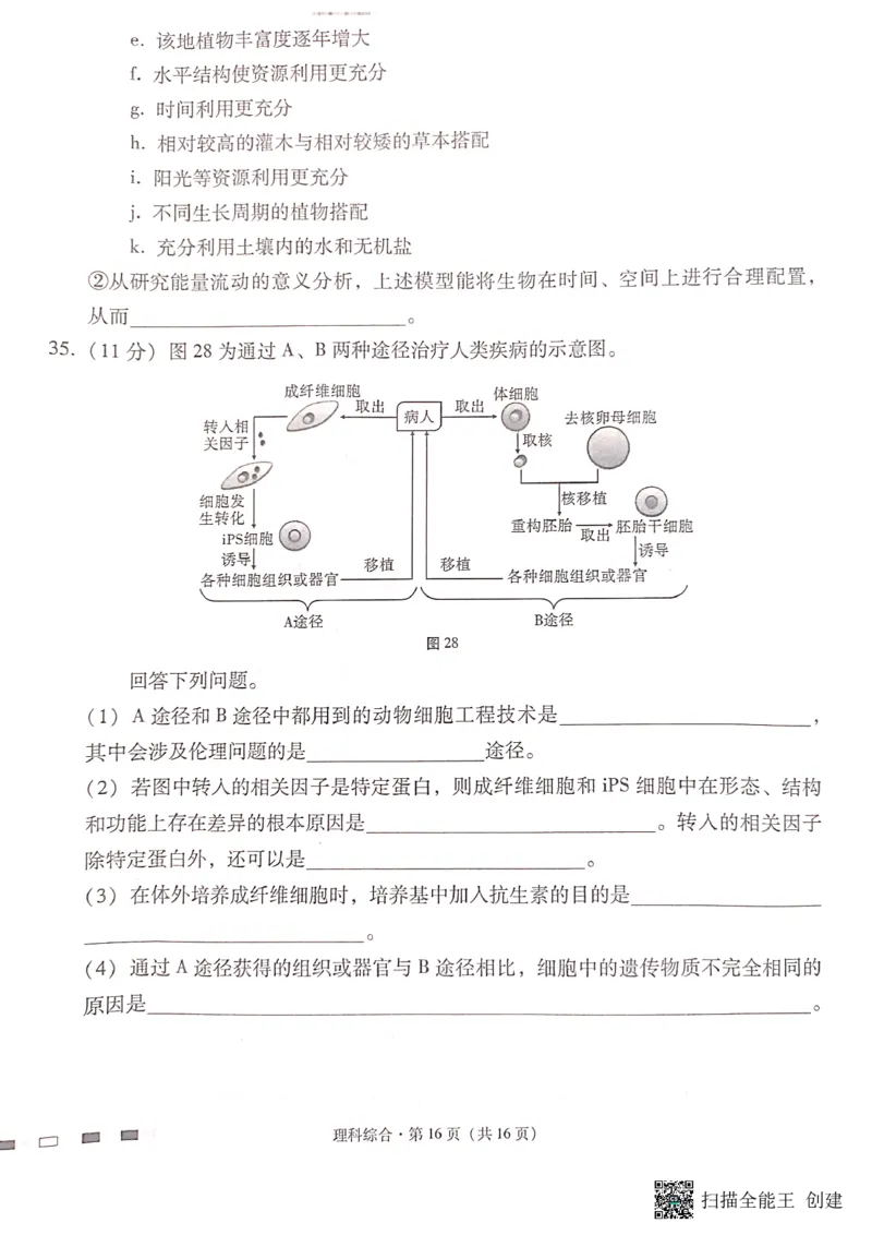 云南省昆明市云南师大附中2024届高三第十次月考理科综合试卷_2024年6月(1)_01按日期_01号_2024届云南师大附中高三适应性考试（十）