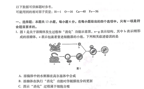 云南省昆明市云南师大附中2024届高三第十次月考理科综合试卷_2024年6月(1)_01按日期_01号_2024届云南师大附中高三适应性考试（十）