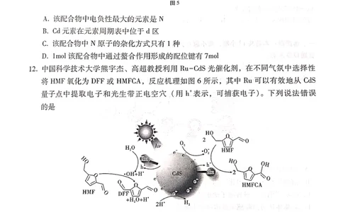 云南省昆明市云南师大附中2024届高三第十次月考理科综合试卷_2024年6月(1)_01按日期_01号_2024届云南师大附中高三适应性考试（十）