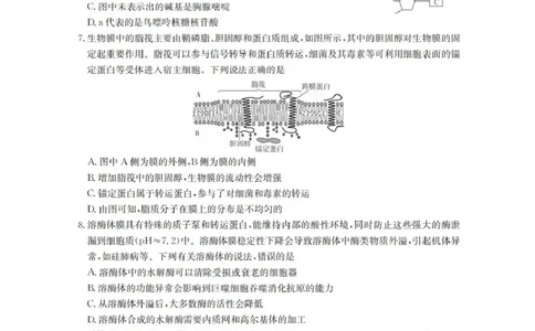 辽宁省金太阳2025-2026学年高三上学期10月联考生物试题_2025年10月_12026年试卷教辅资源等多个文件_251029辽宁省金太阳2025-2026学年高三上学期10月联考