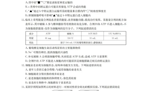辽宁省金太阳2025-2026学年高三上学期10月联考生物试题_2025年10月_12026年试卷教辅资源等多个文件_251029辽宁省金太阳2025-2026学年高三上学期10月联考