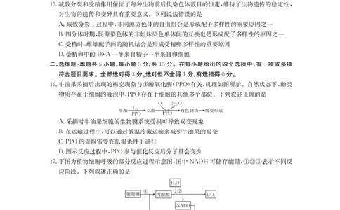 辽宁省金太阳2025-2026学年高三上学期10月联考生物试题_2025年10月_12026年试卷教辅资源等多个文件_251029辽宁省金太阳2025-2026学年高三上学期10月联考