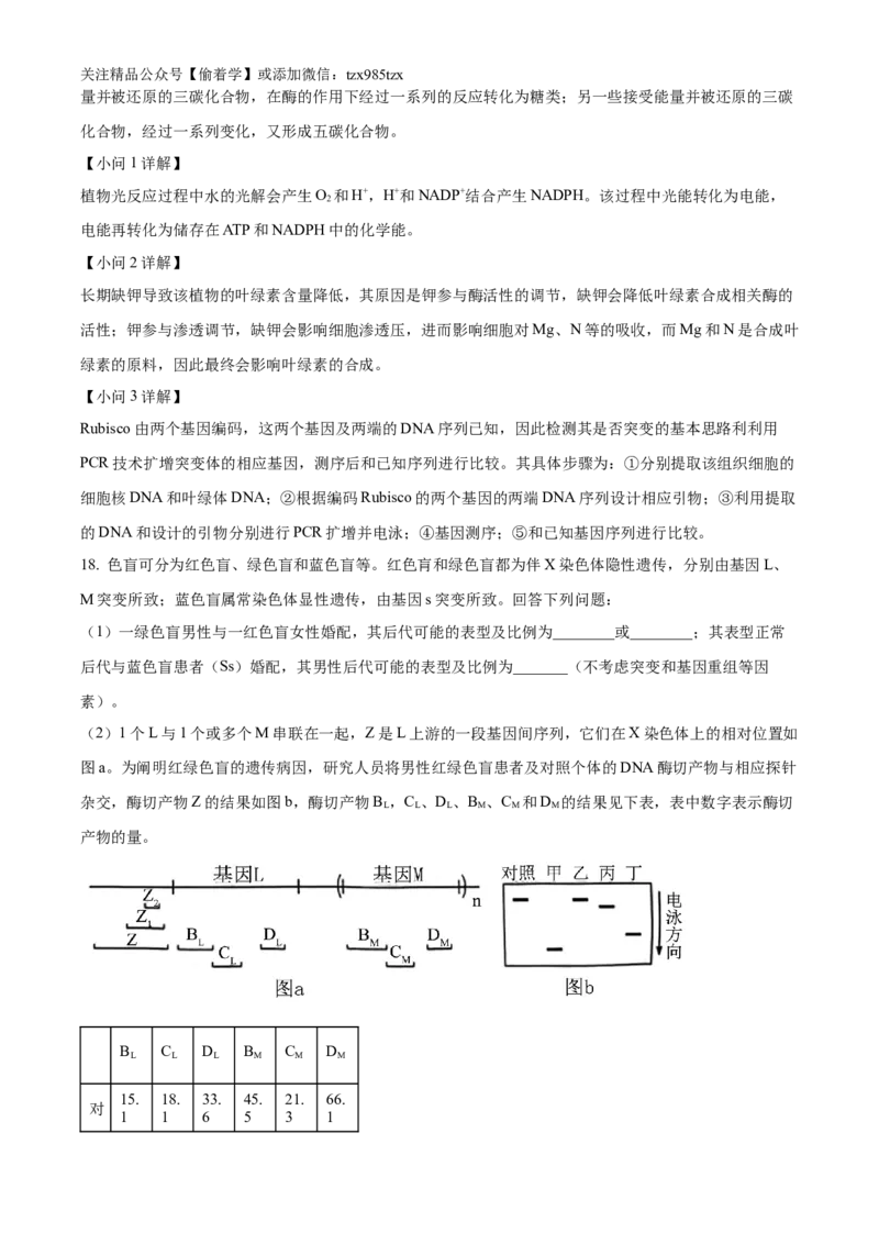 精品解析：2024年新课标湖南高考真题生物试卷（解析版）_高考真题全网收集_生物学_2024年新高考湖南卷生物高考真题解析（参考版）