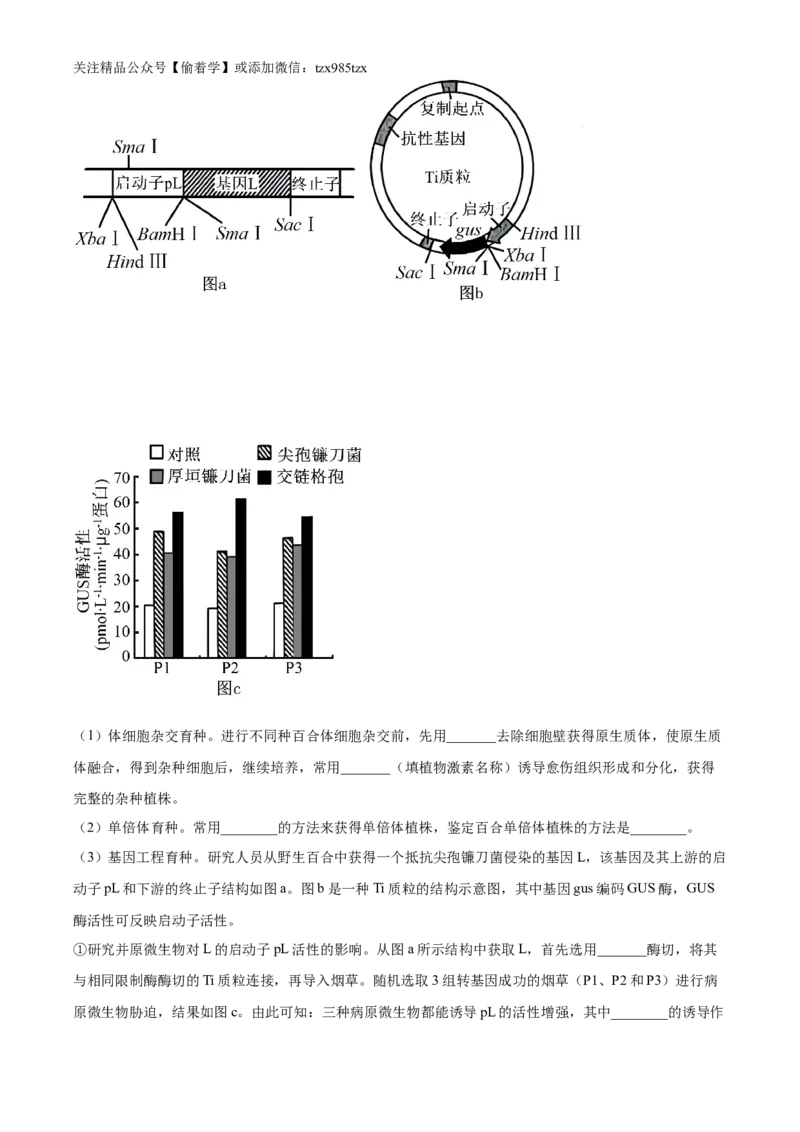 精品解析：2024年新课标湖南高考真题生物试卷（解析版）_高考真题全网收集_生物学_2024年新高考湖南卷生物高考真题解析（参考版）