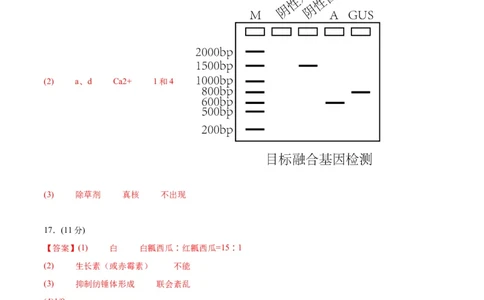 生物（天津卷）（参考答案）_2024届新高三开学摸底考试卷_生物-2024届新高三开学摸底考试卷_生物-2024届新高三开学摸底考试卷（天津卷）