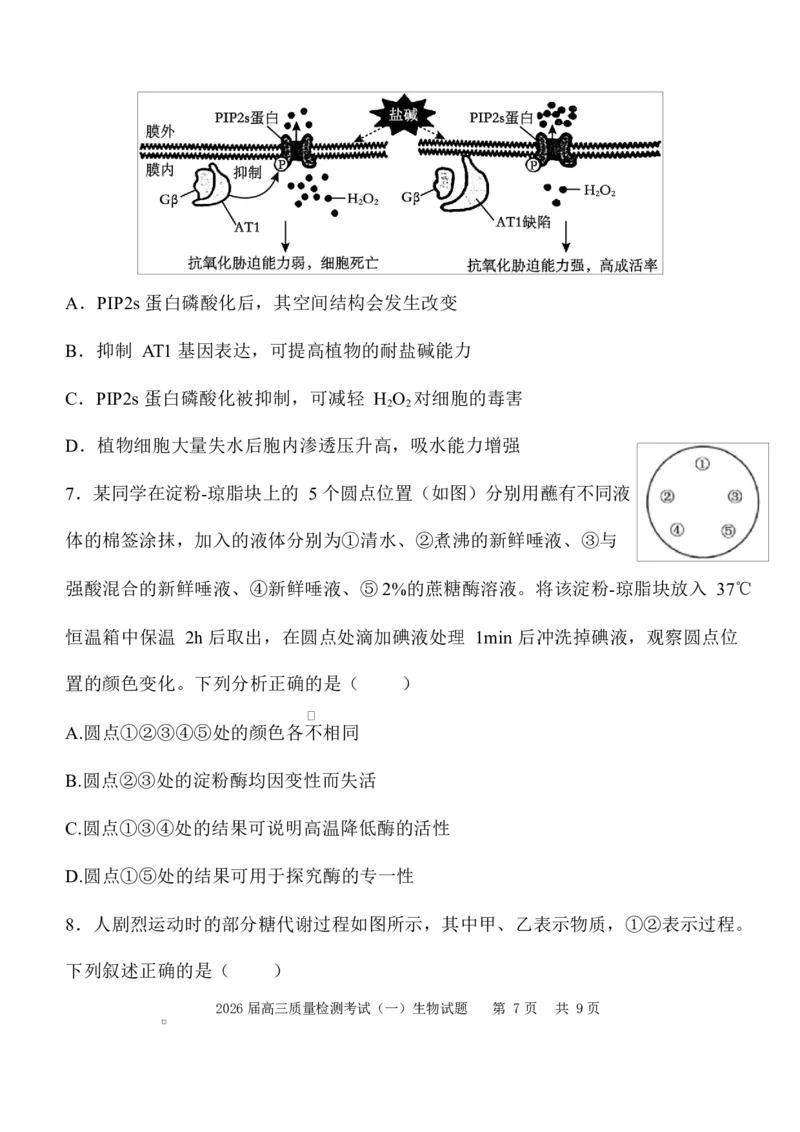 陕西省西安中学2026届高三上学期10月质量检测考试（一）生物_2025年10月_12026年试卷教辅资源等多个文件_251017陕西省西安中学2026届高三上学期10月质量检测考试（一）（全科）