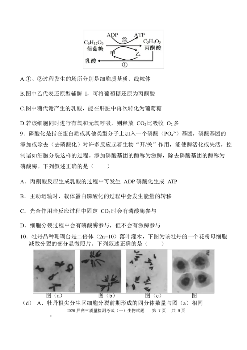 陕西省西安中学2026届高三上学期10月质量检测考试（一）生物_2025年10月_12026年试卷教辅资源等多个文件_251017陕西省西安中学2026届高三上学期10月质量检测考试（一）（全科）