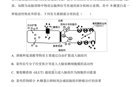 陕西省西安中学2026届高三上学期10月质量检测考试（一）生物_2025年10月_12026年试卷教辅资源等多个文件_251017陕西省西安中学2026届高三上学期10月质量检测考试（一）（全科）
