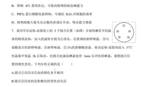 陕西省西安中学2026届高三上学期10月质量检测考试（一）生物_2025年10月_12026年试卷教辅资源等多个文件_251017陕西省西安中学2026届高三上学期10月质量检测考试（一）（全科）
