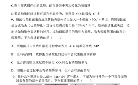 陕西省西安中学2026届高三上学期10月质量检测考试（一）生物_2025年10月_12026年试卷教辅资源等多个文件_251017陕西省西安中学2026届高三上学期10月质量检测考试（一）（全科）