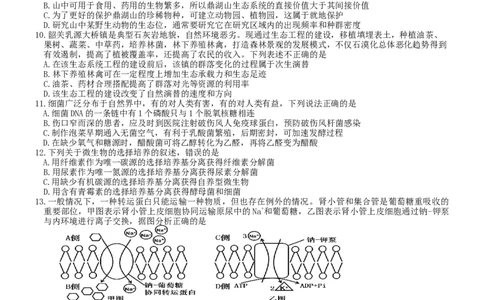 七校联合体2024届高三第一次联考试卷&mdash;&mdash;生物科目（8月）_2023年8月_01每日更新_9号