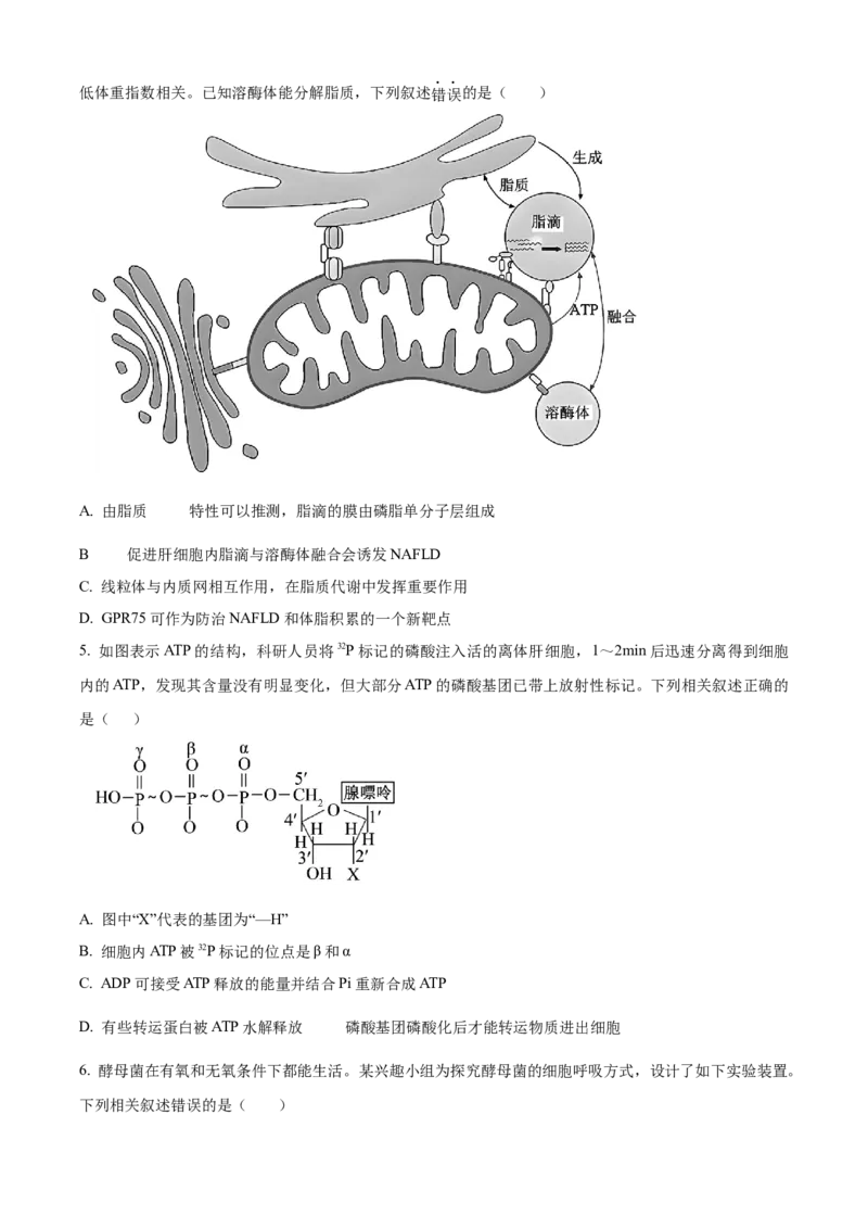 黑龙江省齐齐哈尔市龙西北高中名校联盟2025-2026学年高三上学期开学生物试题（含答案）_2025年9月_250908黑龙江省齐齐哈尔市龙西北九校2026届高三上学期9月开学考试（全科）