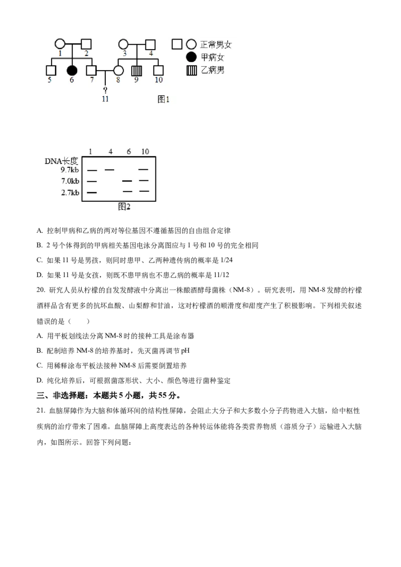 黑龙江省齐齐哈尔市龙西北高中名校联盟2025-2026学年高三上学期开学生物试题（含答案）_2025年9月_250908黑龙江省齐齐哈尔市龙西北九校2026届高三上学期9月开学考试（全科）