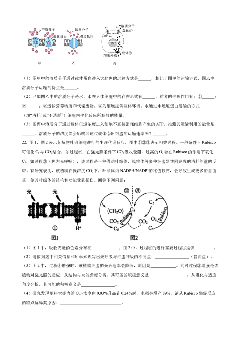 黑龙江省齐齐哈尔市龙西北高中名校联盟2025-2026学年高三上学期开学生物试题（含答案）_2025年9月_250908黑龙江省齐齐哈尔市龙西北九校2026届高三上学期9月开学考试（全科）