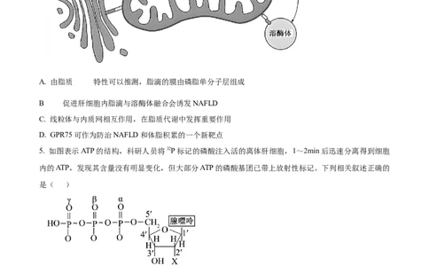 黑龙江省齐齐哈尔市龙西北高中名校联盟2025-2026学年高三上学期开学生物试题（含答案）_2025年9月_250908黑龙江省齐齐哈尔市龙西北九校2026届高三上学期9月开学考试（全科）