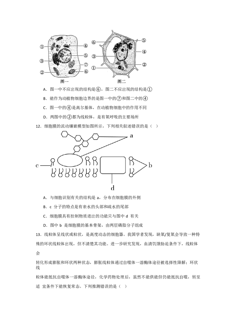 吉林省通化市辉南县第六中学2023-2024学年高三上学期第一次半月考生物(1)_2023年8月_028月合集_2024届吉林省通化市辉南县第六中学高三上学期第一次半月考