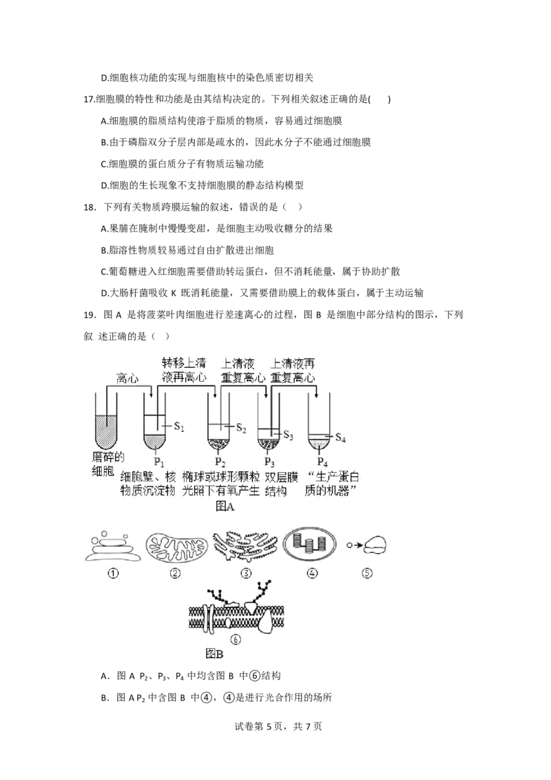 吉林省通化市辉南县第六中学2023-2024学年高三上学期第一次半月考生物(1)_2023年8月_028月合集_2024届吉林省通化市辉南县第六中学高三上学期第一次半月考