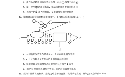 吉林省通化市辉南县第六中学2023-2024学年高三上学期第一次半月考生物(1)_2023年8月_028月合集_2024届吉林省通化市辉南县第六中学高三上学期第一次半月考