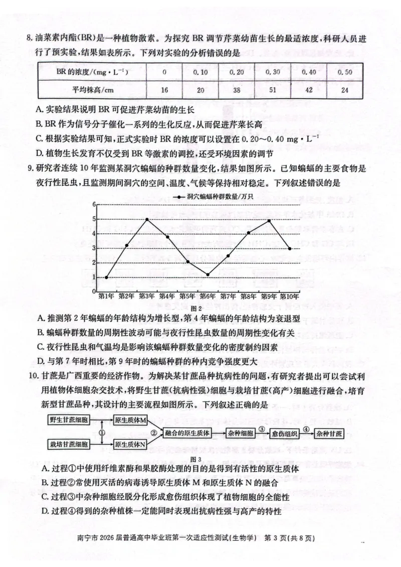 南宁市2026届普通高中毕业班第一次适应性测试生物(1)_2026年1月_260121广西南宁市2026届普通高中毕业班第一次适应性测试（全科）