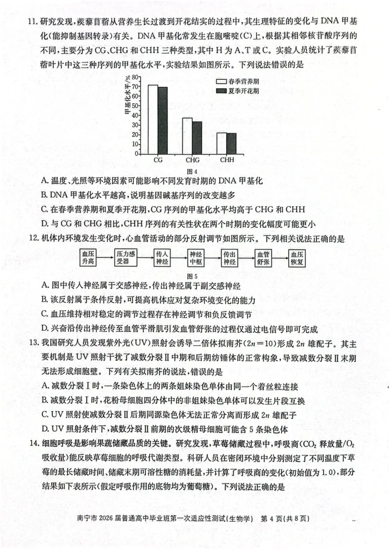 南宁市2026届普通高中毕业班第一次适应性测试生物(1)_2026年1月_260121广西南宁市2026届普通高中毕业班第一次适应性测试（全科）