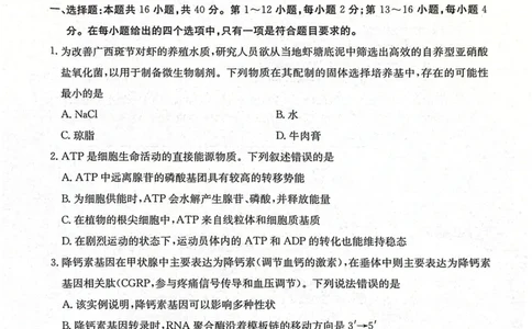 南宁市2026届普通高中毕业班第一次适应性测试生物(1)_2026年1月_260121广西南宁市2026届普通高中毕业班第一次适应性测试（全科）