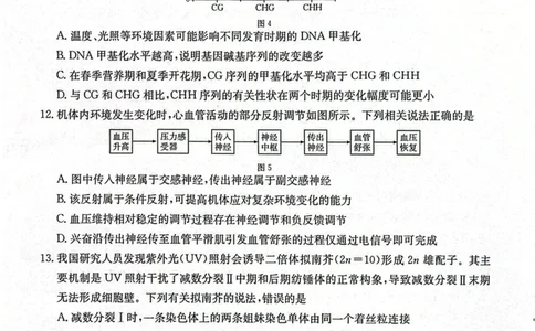 南宁市2026届普通高中毕业班第一次适应性测试生物(1)_2026年1月_260121广西南宁市2026届普通高中毕业班第一次适应性测试（全科）