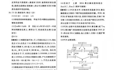 生物试题卷答案-吉林省吉林地区普通高中2025-2026学年度高中毕业年级2026届高三第二次调研测试（吉林二调）(1.15-1.17)(1)_2026年1月